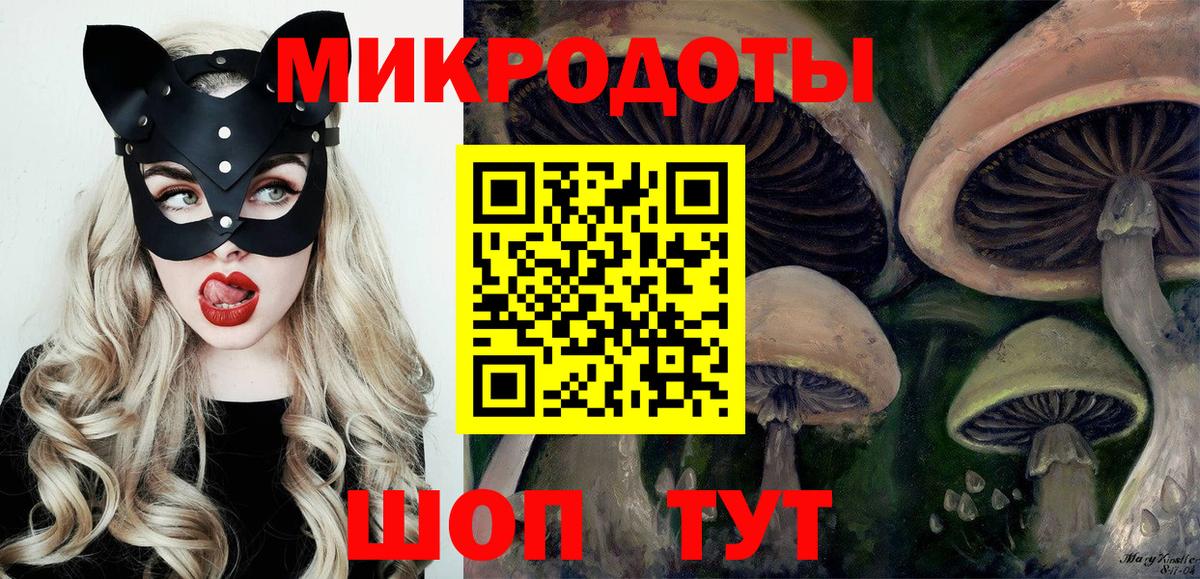Галлюциногенные грибы Psilocybe Дмитров