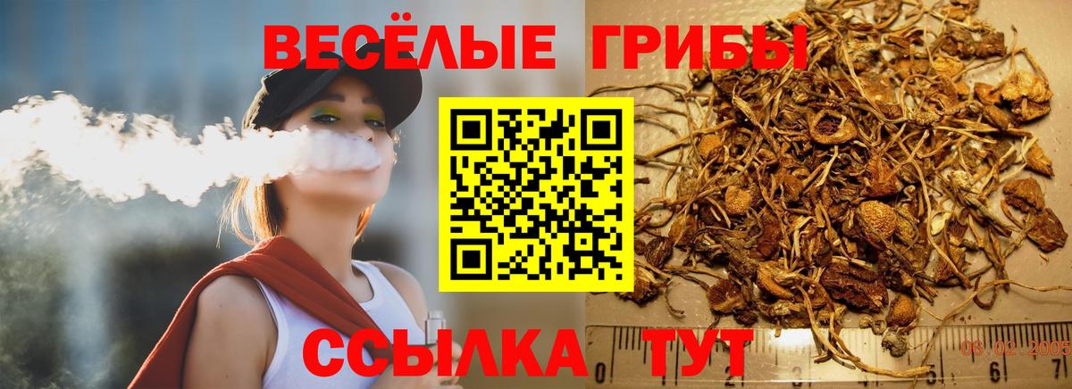 Псилоцибиновые грибы Psilocybine cubensis  Вход с VPN  где купить наркотик  Галлюциногенные грибы ЛСД  Дмитров 